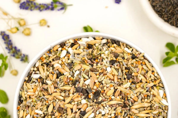 Not All Proteins Are Created Equal: Why Complete Proteins Matter in Your Parrot’s Diet