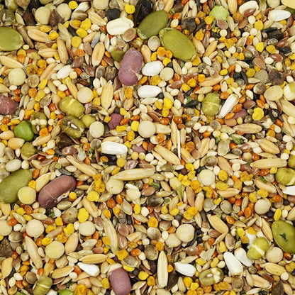 KikiBirds Feather Shine High Potency Blend