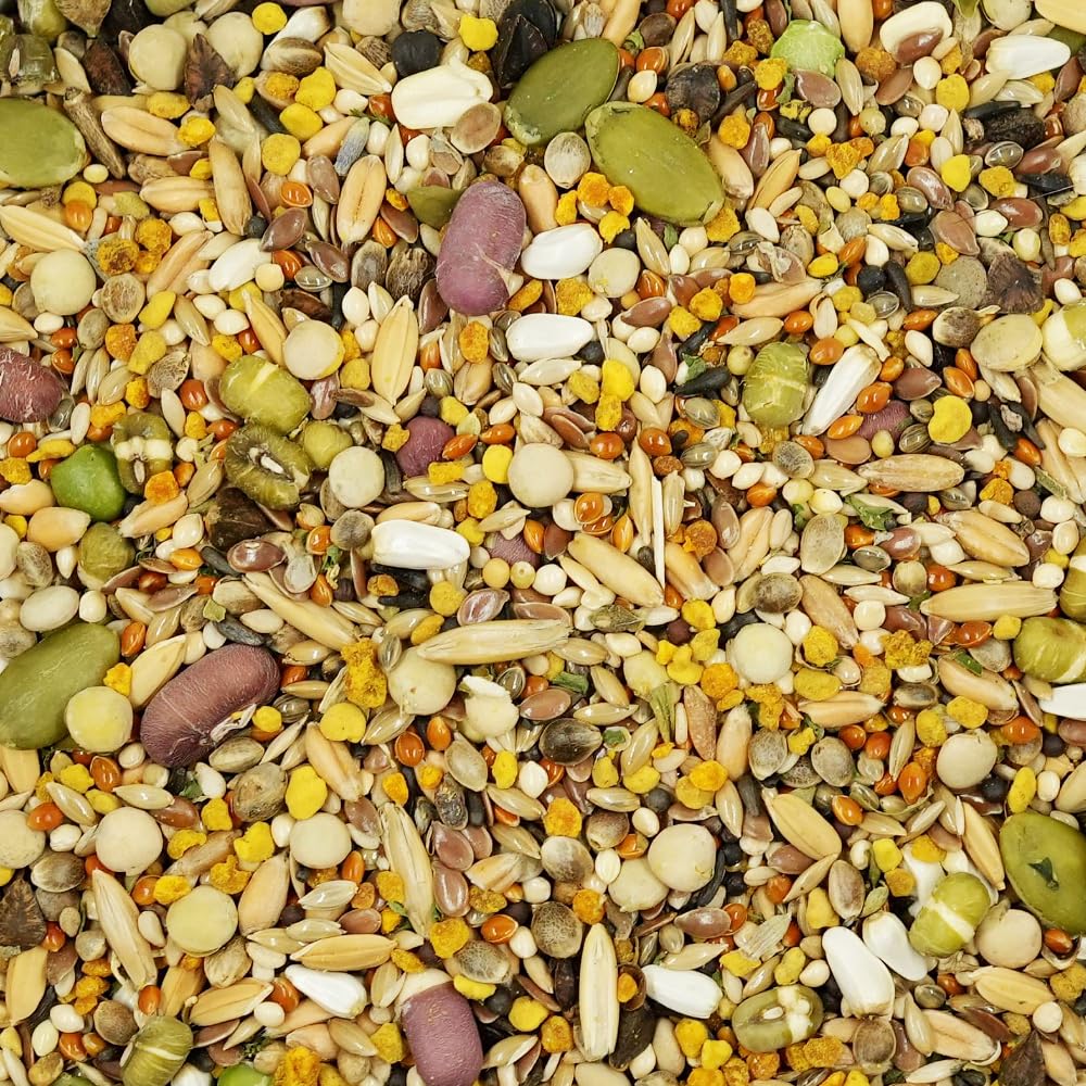 KikiBirds Feather Shine High Potency Blend