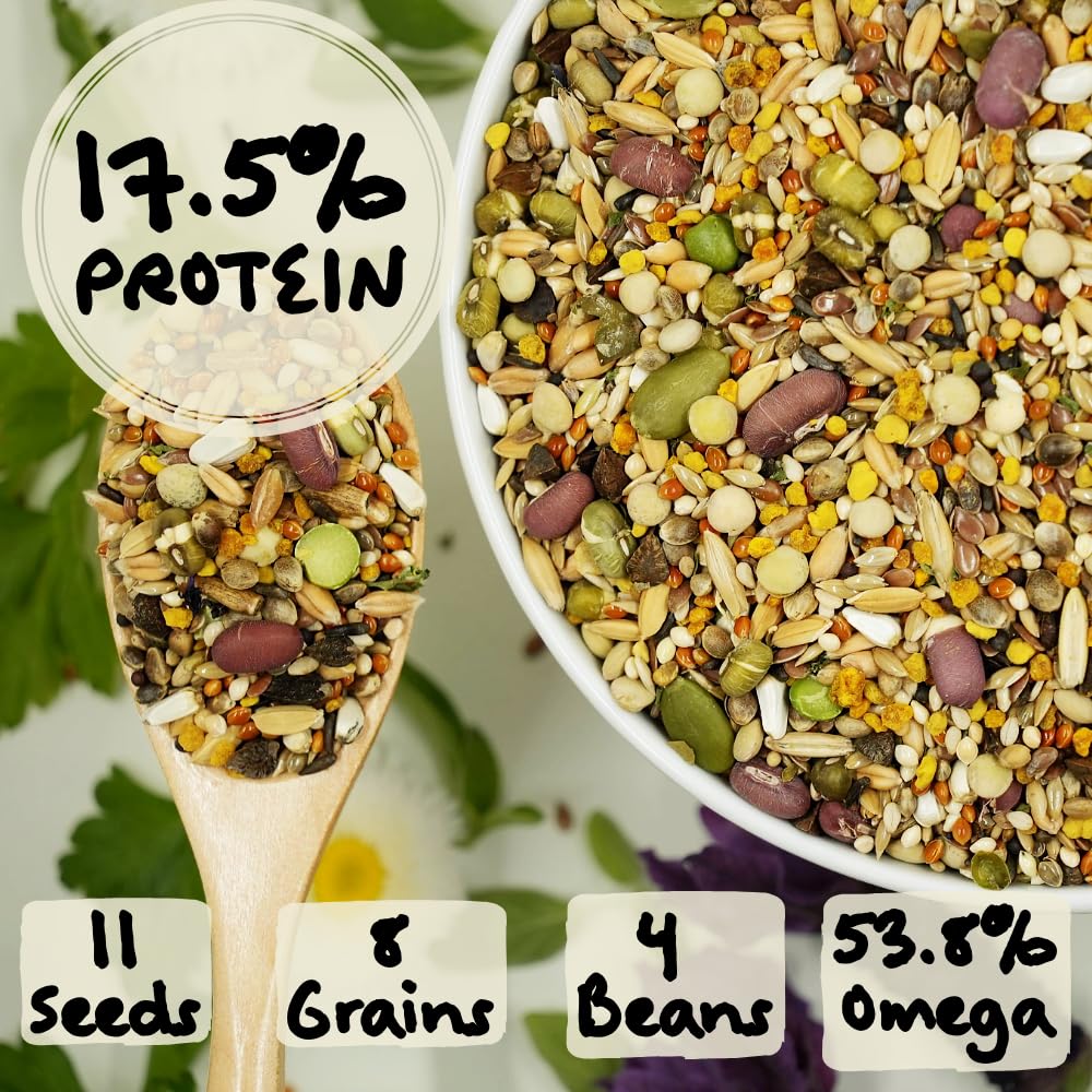 KikiBirds Feather Shine High Potency Blend