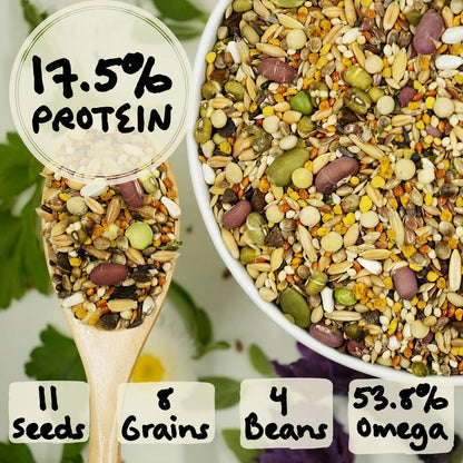 KikiBirds Feather Shine High Potency Blend