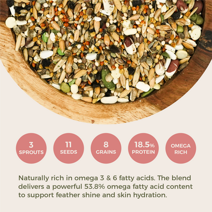 Feather Shine High Potency Blend