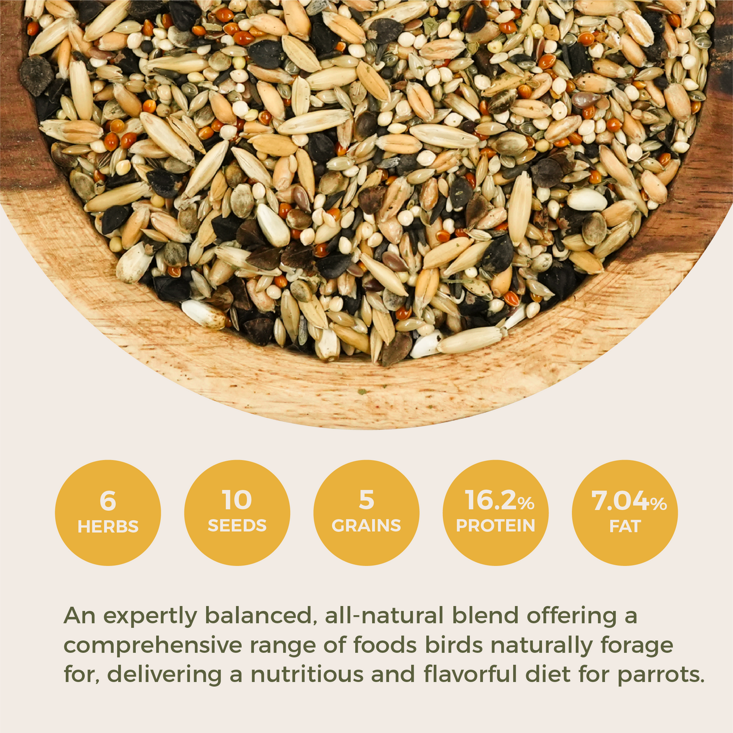 Daily Maintenance Blend