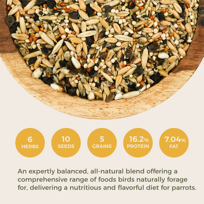 Daily Maintenance Blend