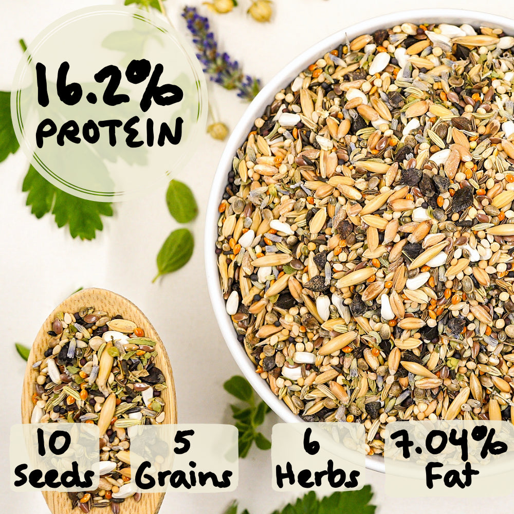 Daily Maintenance Blend