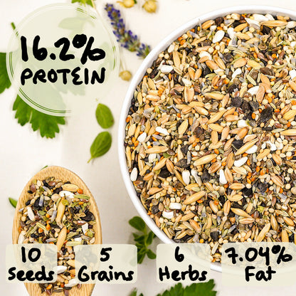 Daily Maintenance Blend