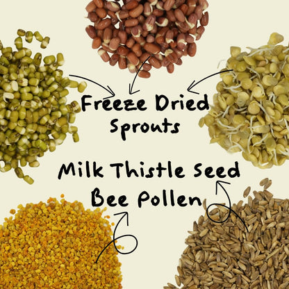 KikiBirds Feather Shine High Potency Blend